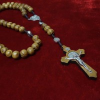 Rožukronis olivkoka uz auklas...